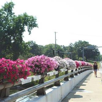 Bridge flowers_thumb_thumb.jpg